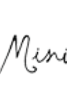 Minikterzi